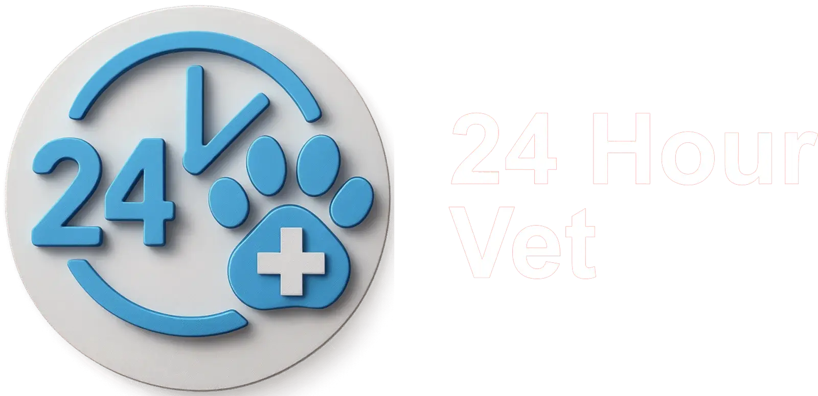 24 Hour Vet